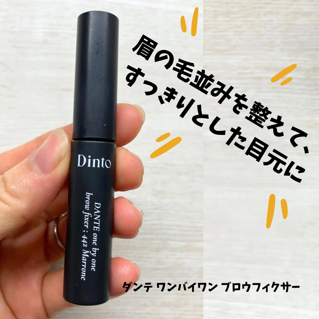 ダンテ ワンバイワン ブロウフィクサー/Dinto/眉マスカラを使ったクチコミ（2枚目）