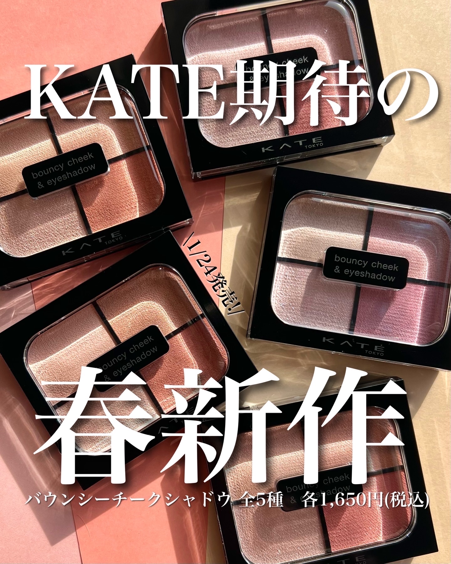 バウンシーチークシャドウ/KATE/マルチパレットを使ったクチコミ（1枚目）