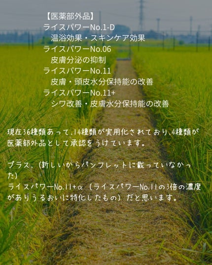 elan_lotus on LIPS 「勇心酒造さんの体験会に参加してきました🌾🍶美容オタクの間で1番..」(6枚目)