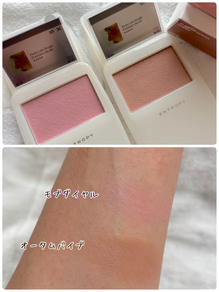 スライドアップドウチーク/ENTROPY/ジェル・クリームチークを使ったクチコミ(2枚目)