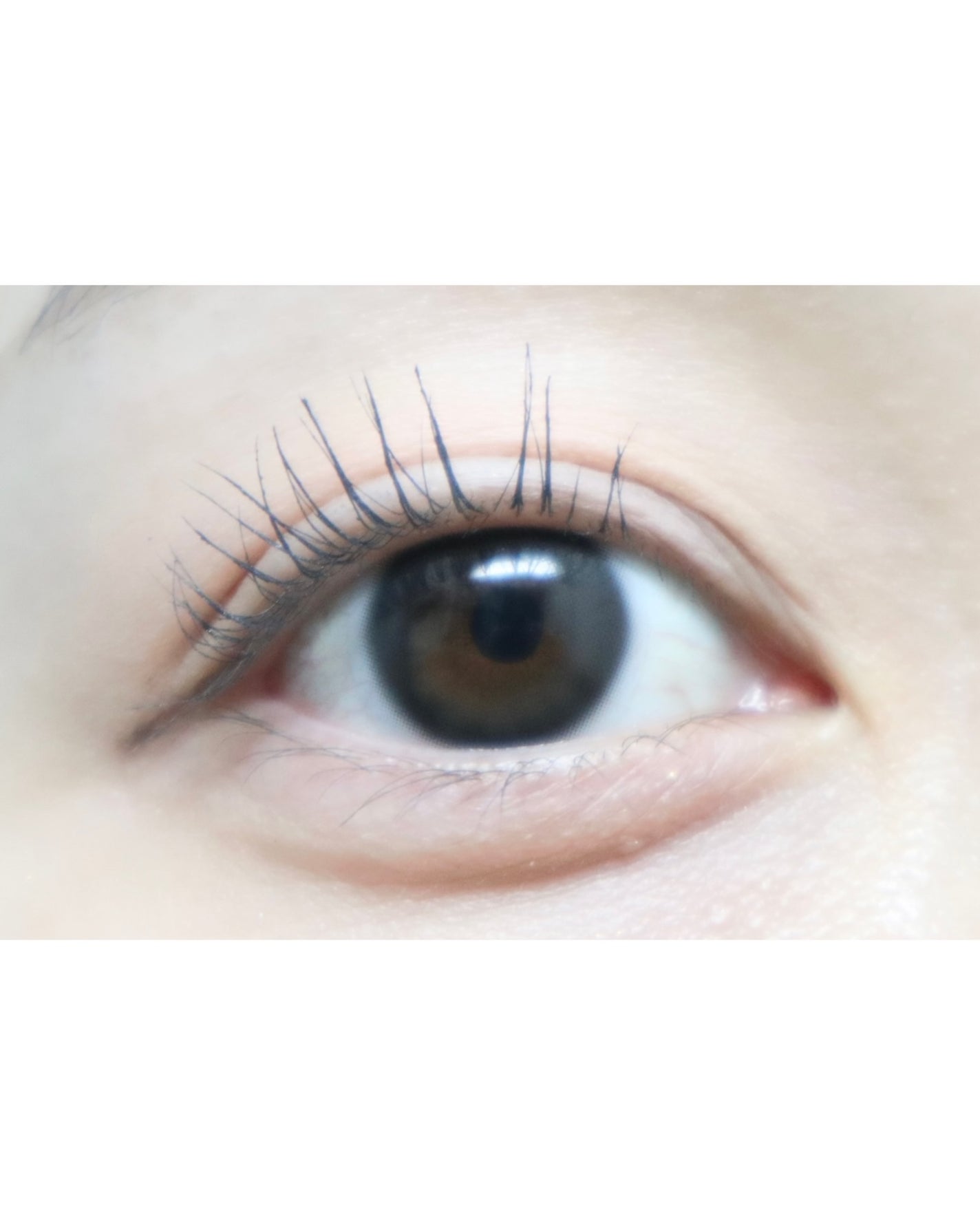 Meið on LIPS ãå¬ã®æ°è²**ChuâsmeãNOELHUGïŒããšã«ãã°ïŒã**..ãïŒ4æç®ïŒ