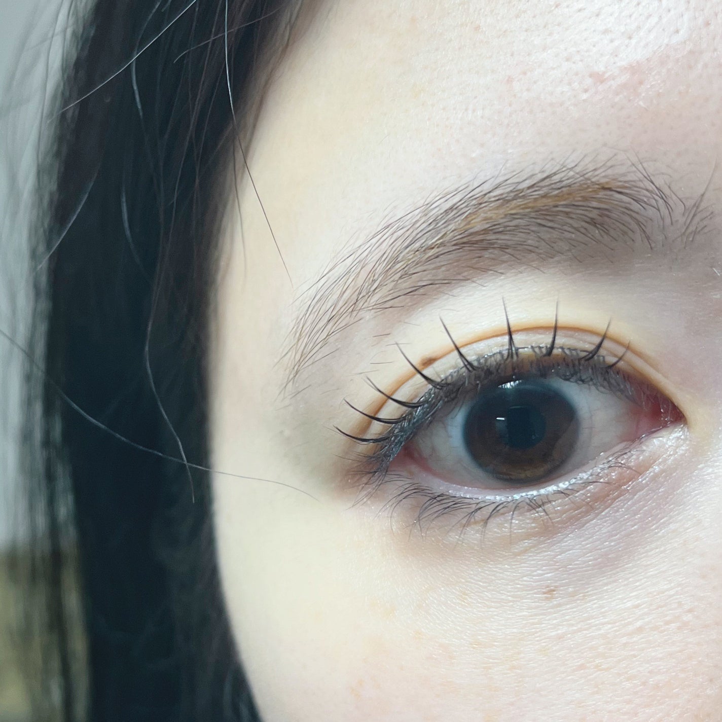 ラッシュフォーカス/D-UP/つけまつげを使ったクチコミ(2枚目)