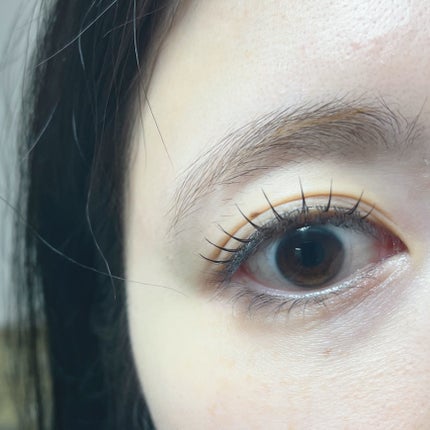 ラッシュフォーカス/D-UP/つけまつげを使ったクチコミ(2枚目)