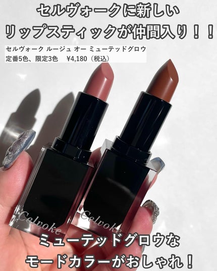 セルヴォーク ルージュ オー ミューテッドグロウ/Celvoke/口紅を使ったクチコミ(2枚目)