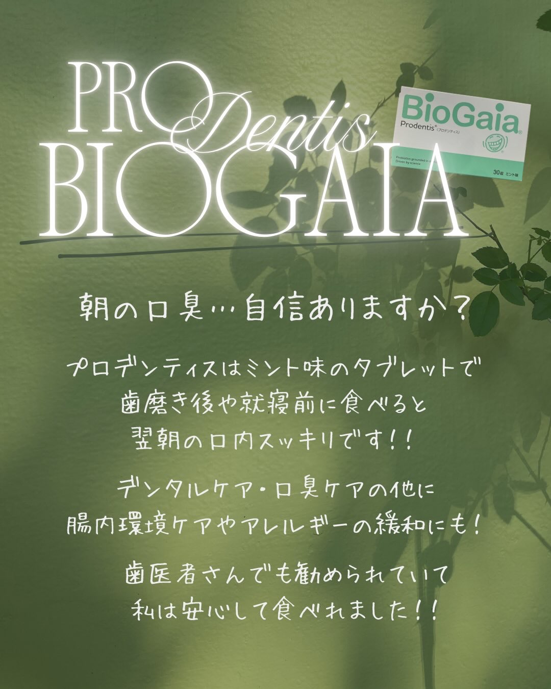プロデンティス バイオガイア30錠/プロデンティス バイオガイア/その他オーラルケアを使ったクチコミ（2枚目）