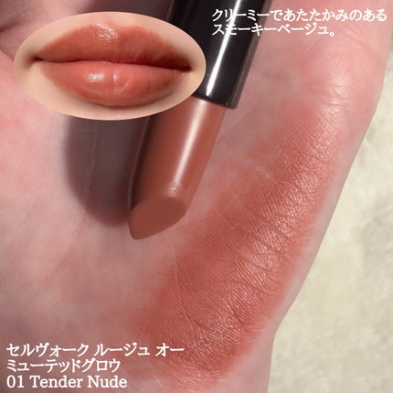 セルヴォーク ルージュ オー ミューテッドグロウ/Celvoke/口紅を使ったクチコミ(2枚目)