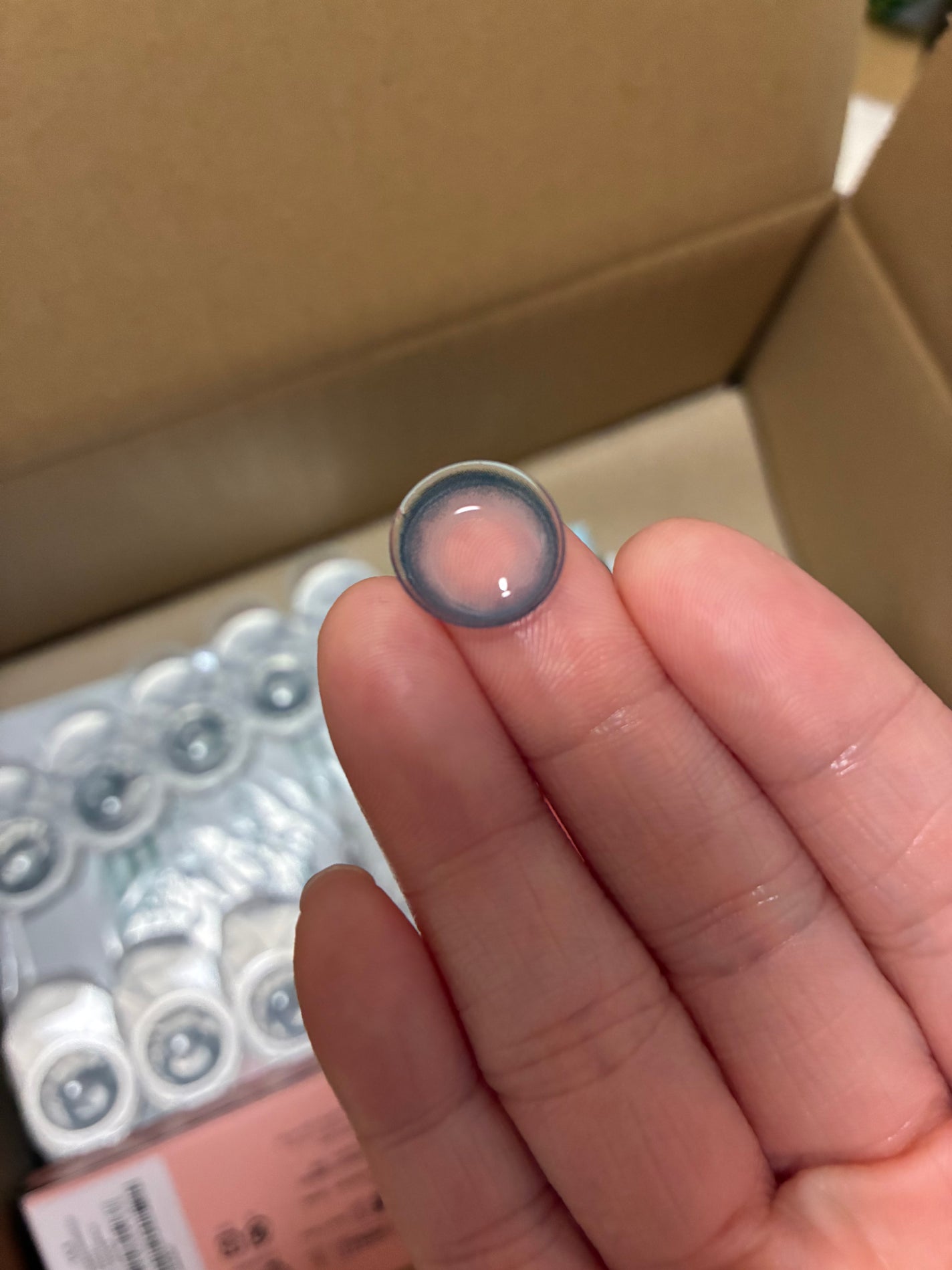 Angelcolor Bambi Series 1day /AngelColor/ワンデー(1DAY)カラコンを使ったクチコミ(6枚目)