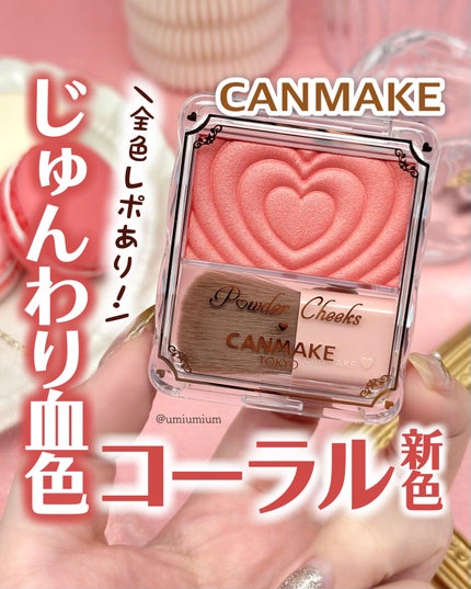 パウダーチークス/キャンメイク/パウダーチークを使ったクチコミ(1枚目)