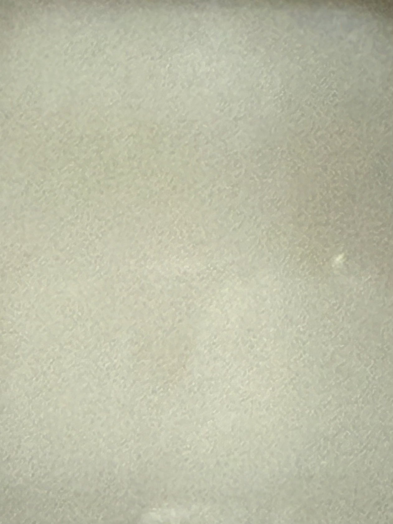 レノアハピネス ホテルセレクト 夢ふわタッチ/レノア/柔軟剤を使ったクチコミ（2枚目）