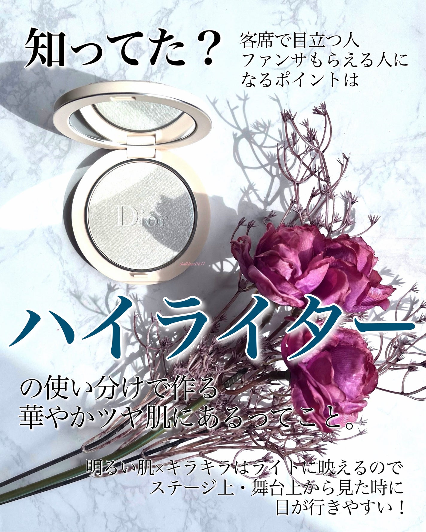 ル・レオスールデクラ /クレ・ド・ポー ボーテ/パウダーハイライトを使ったクチコミ(2枚目)