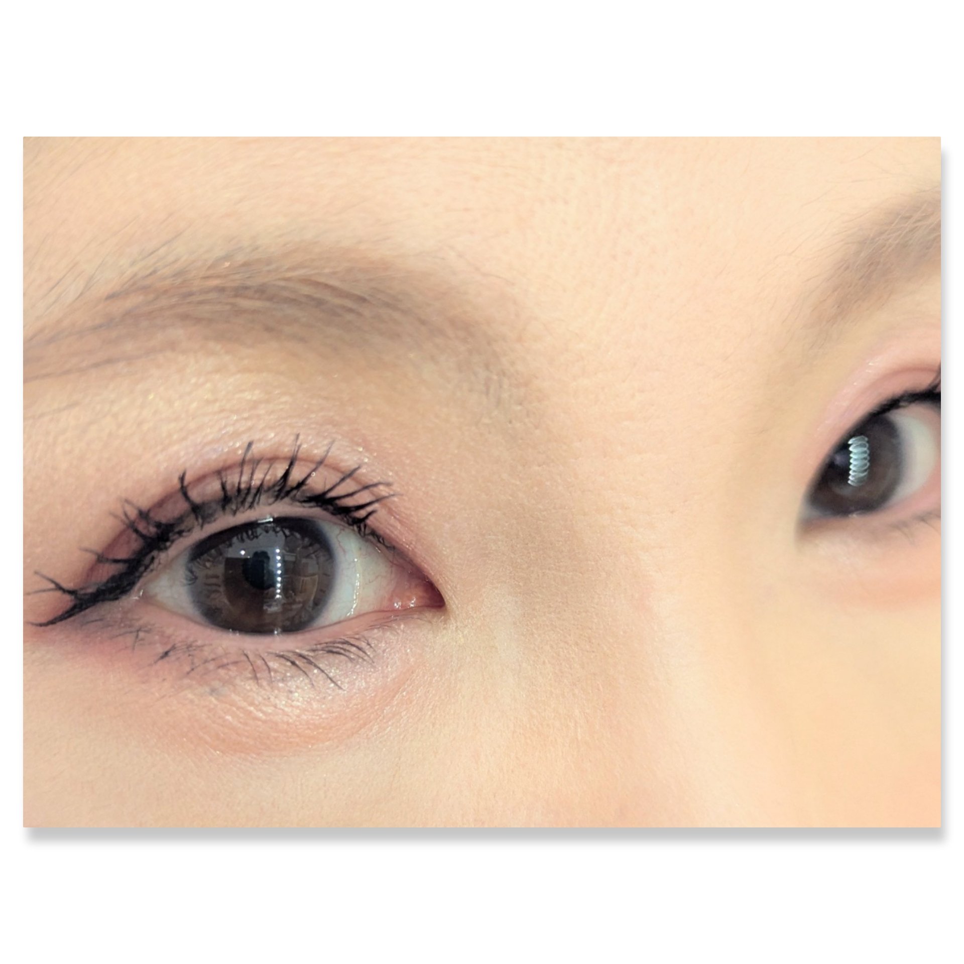 シャドーカスタマイズ/MAJOLICA MAJORCA/単色アイシャドウを使ったクチコミ（2枚目）