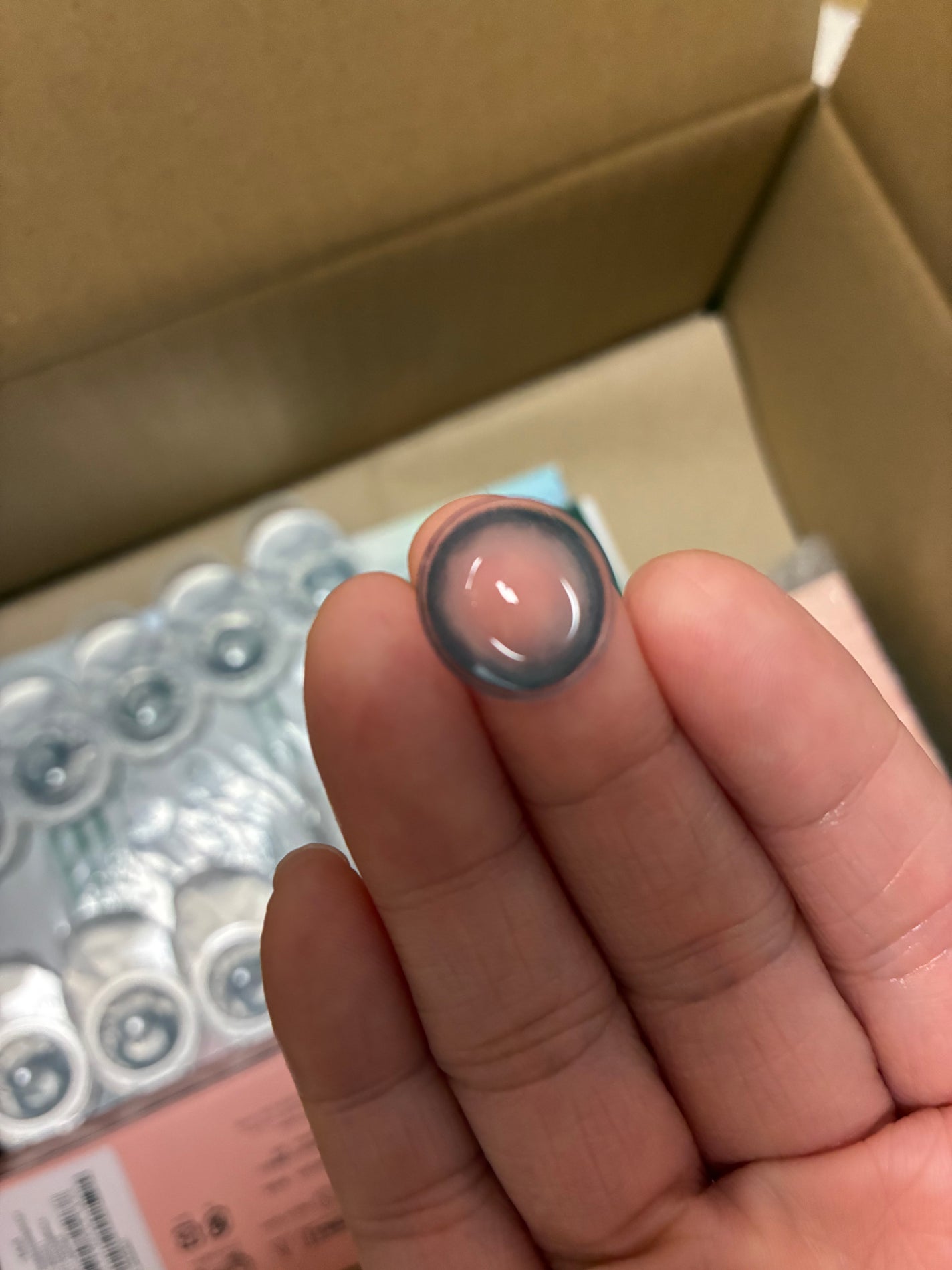 Angelcolor Bambi Series 1day /AngelColor/ワンデー(1DAY)カラコンを使ったクチコミ(7枚目)