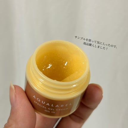 スペシャルジェルクリーム EX (オイルイン) 本体(90g)/アクアレーベル/オールインワン化粧品の画像