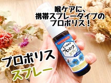 プロポリススプレー クールタイプ/森川健康堂/その他を使ったクチコミ(1枚目)