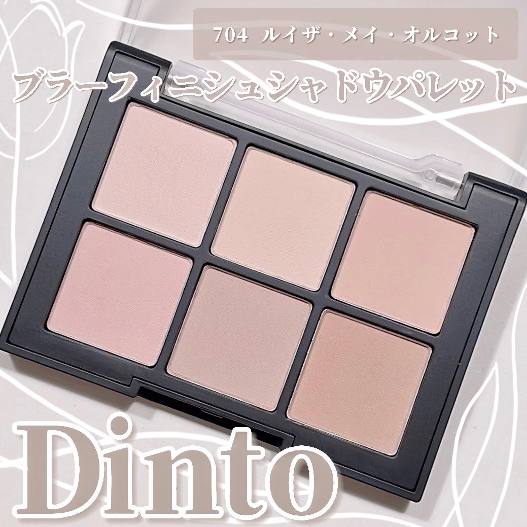 ブラーフィニシュシャドウパレット/Dinto/アイシャドウパレットを使ったクチコミ(1枚目)