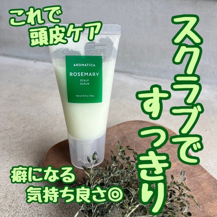 ローズマリー スカルプ スクラブ/AROMATICA/ヘッドスクラブを使ったクチコミ(1枚目)