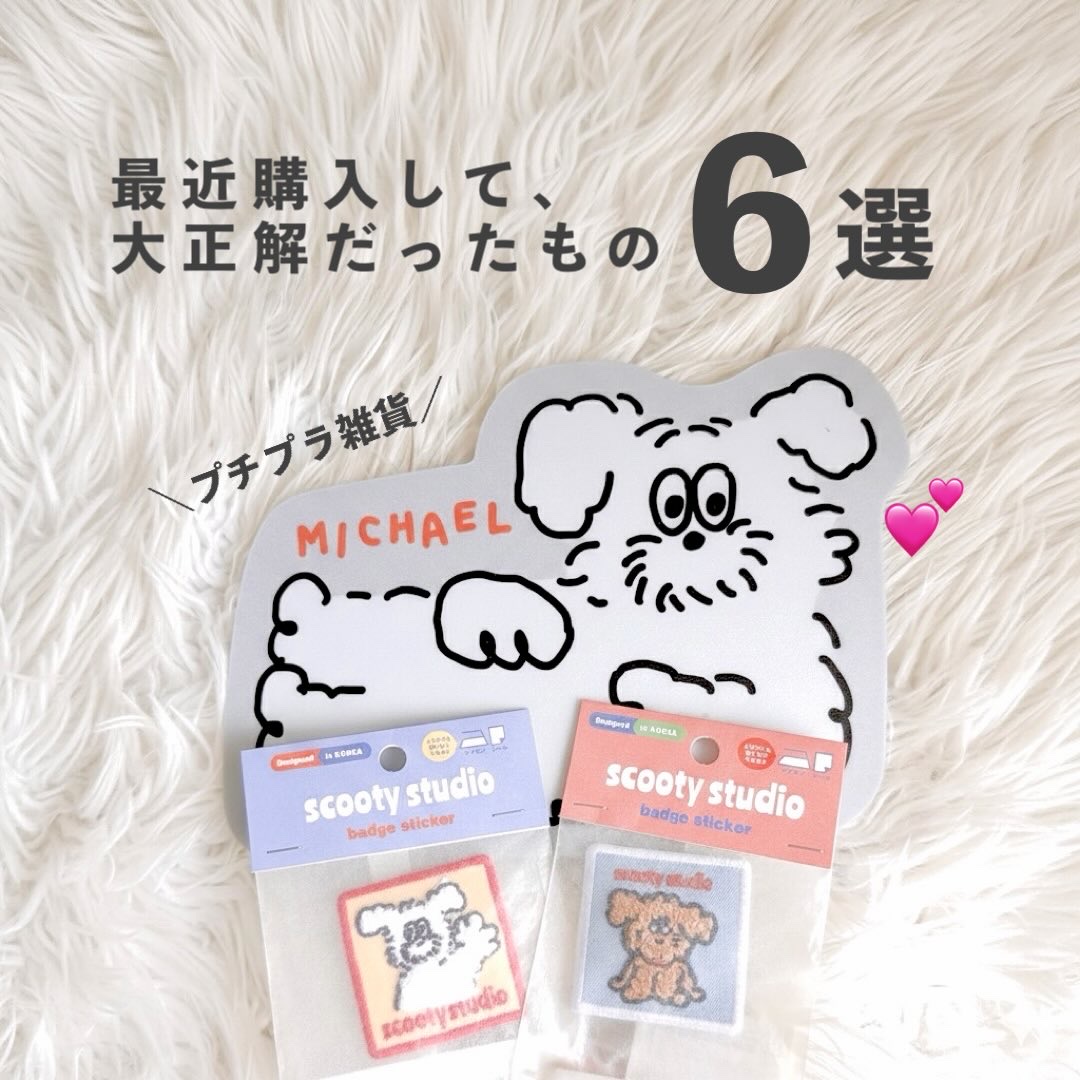 【最近購入して大正解だったもの6選🐶📖】

こんばんは、ふちこさん（@fuchico3）です♡
31歳ズボラOLがプチプラアイテムを
レビューするアカウントです！
お得な情報をバンバンお届けしていきます🙋‍♀️

フォローがまだだよ！