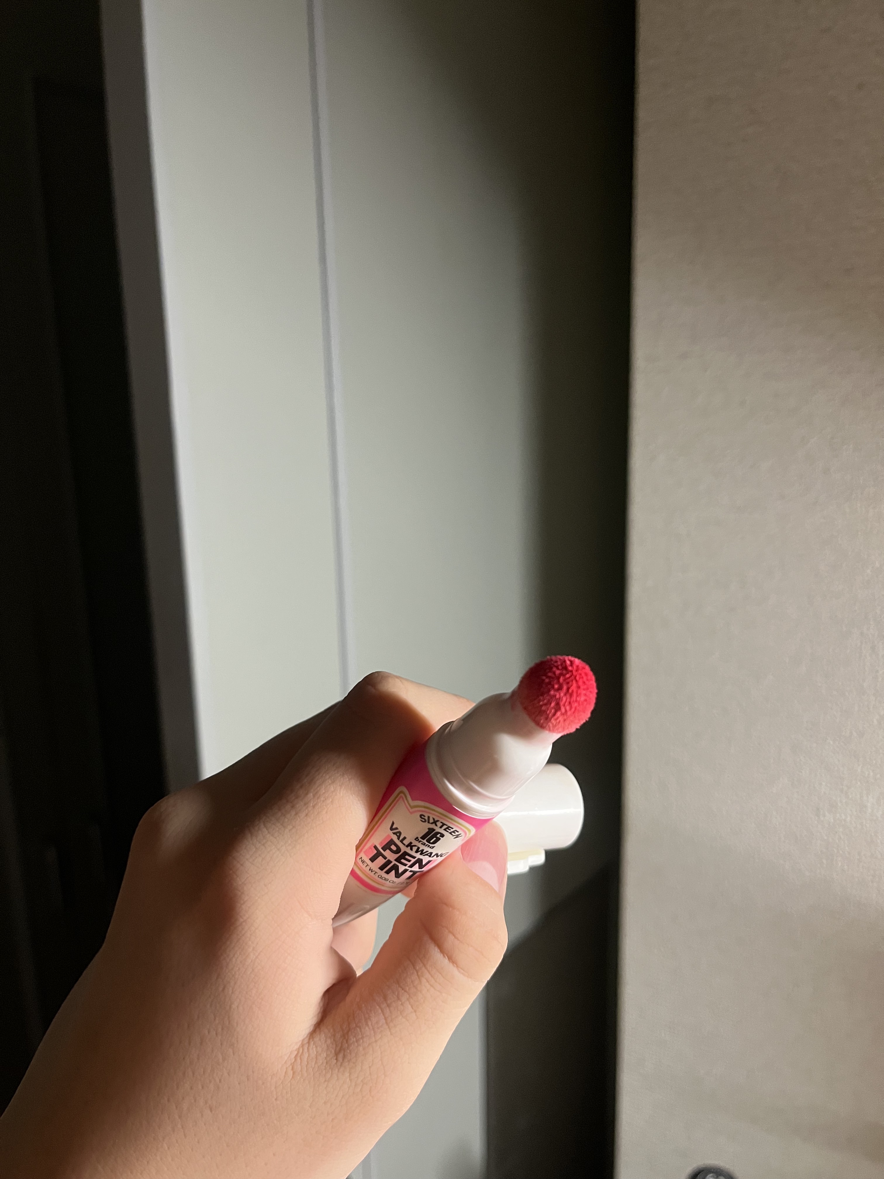 Sixteen Valkwang Pen/16BRAND/口紅を使ったクチコミ（2枚目）