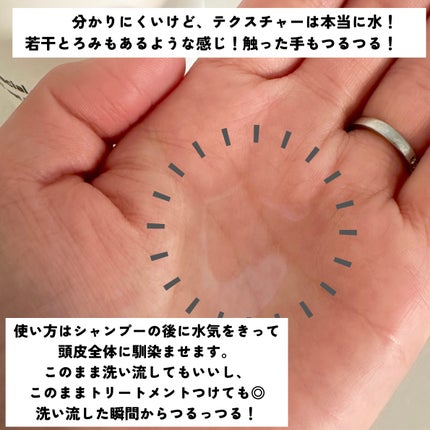 beets1 スペシャルウォータートリートメント/beets/洗い流すヘアトリートメントを使ったクチコミ(3枚目)