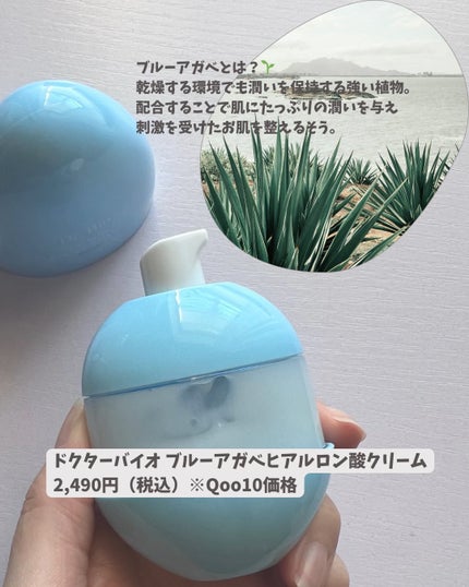 ブルーアガベヒアルロン酸クリーム/Dr.Bio/フェイスクリームを使ったクチコミ(2枚目)