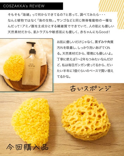 コスザッカ on LIPS 「\ボディケアには天然海綿スポンジ♪/Bellini(ベリーニ)..」(3枚目)
