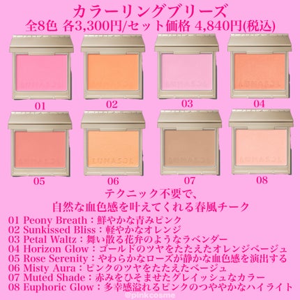 ルナソル アイカラーレーションN 19 Ash Moon/LUNASOL/アイシャドウパレットの画像