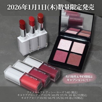 アイスカルプト/shu uemura/アイシャドウパレットを使ったクチコミ(9枚目)