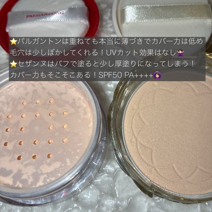 シアトリカルパウダーN/パルガントン/ルースパウダーを使ったクチコミ(2枚目)