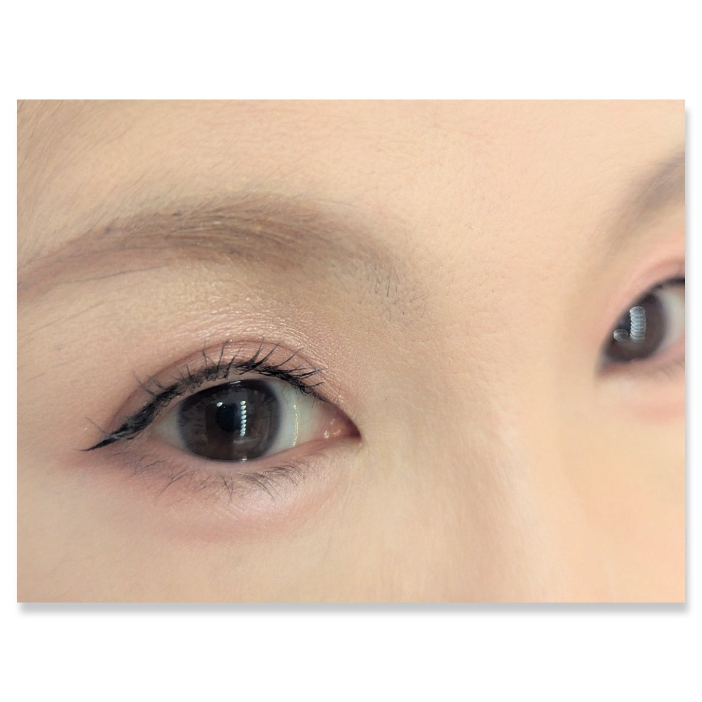 ペールトーンアイシャドウ/CEZANNE/アイシャドウを使ったクチコミ(2枚目)