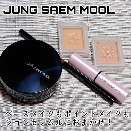 アーティスト ブロウ シェーダー スリム/JUNG SAEM MOOL/アイブロウペンシルを使ったクチコミ(1枚目)