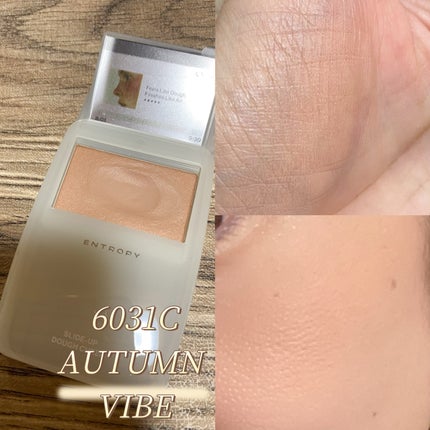 スライドアップドウチーク/ENTROPY/ジェル・クリームチークを使ったクチコミ(4枚目)