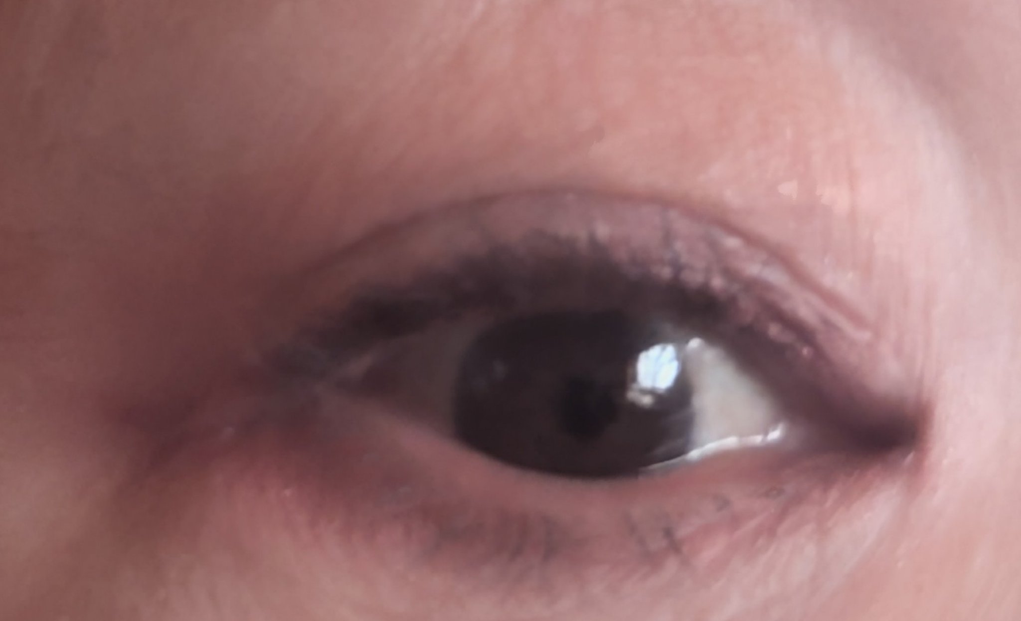 クレヨンタッチミー メタリックアイライナー/キャンドゥ/ペンシルアイライナーを使ったクチコミ（2枚目）