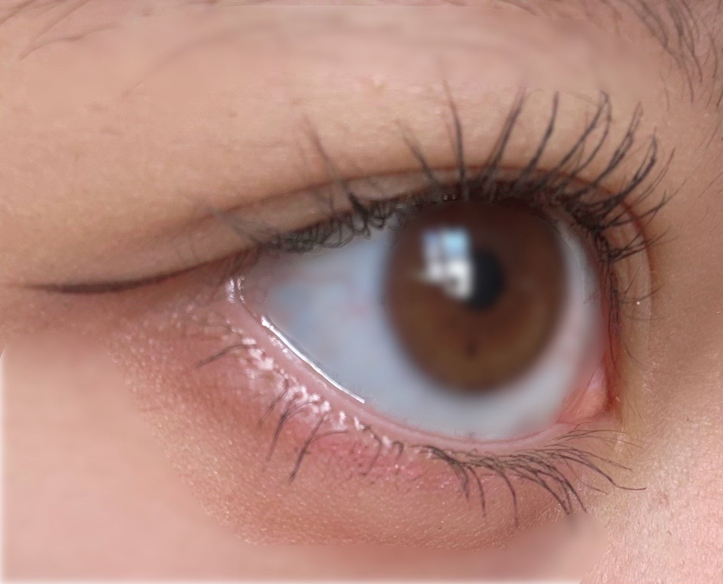 ウォンジョンヨ ヌードアイラッシュ/Wonjungyo/マスカラを使ったクチコミ(3枚目)