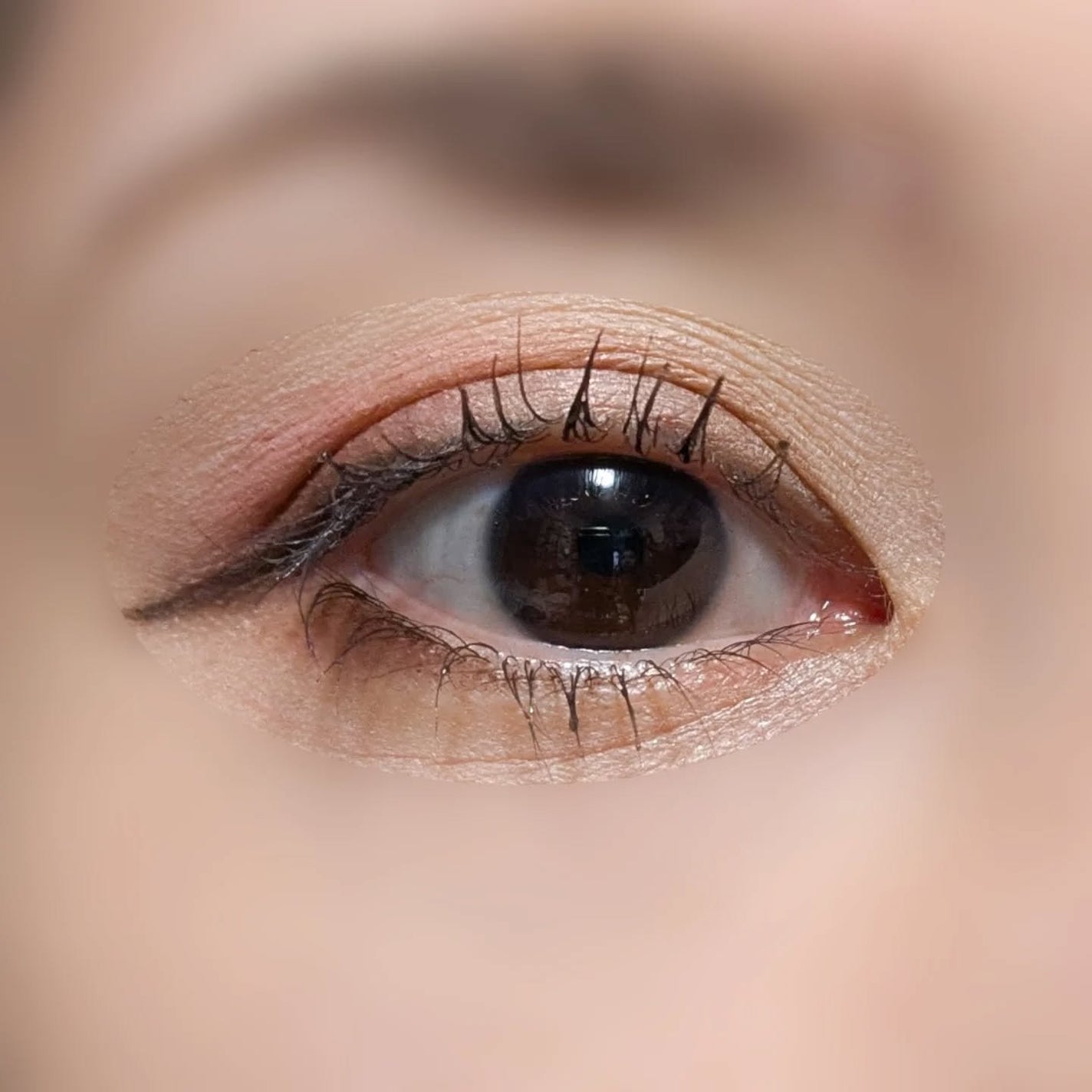 グランウィーユGINZAwithミラボーテ まつ毛キープマスカラ下地CB(クリアブラック)/ミラボーテ/マスカラ下地を使ったクチコミ(5枚目)