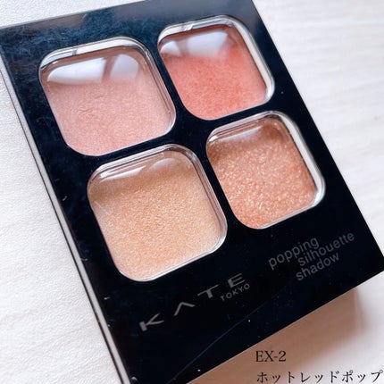 ケイト ポッピングシルエットシャドウ/KATE/アイシャドウパレットを使ったクチコミ(2枚目)
