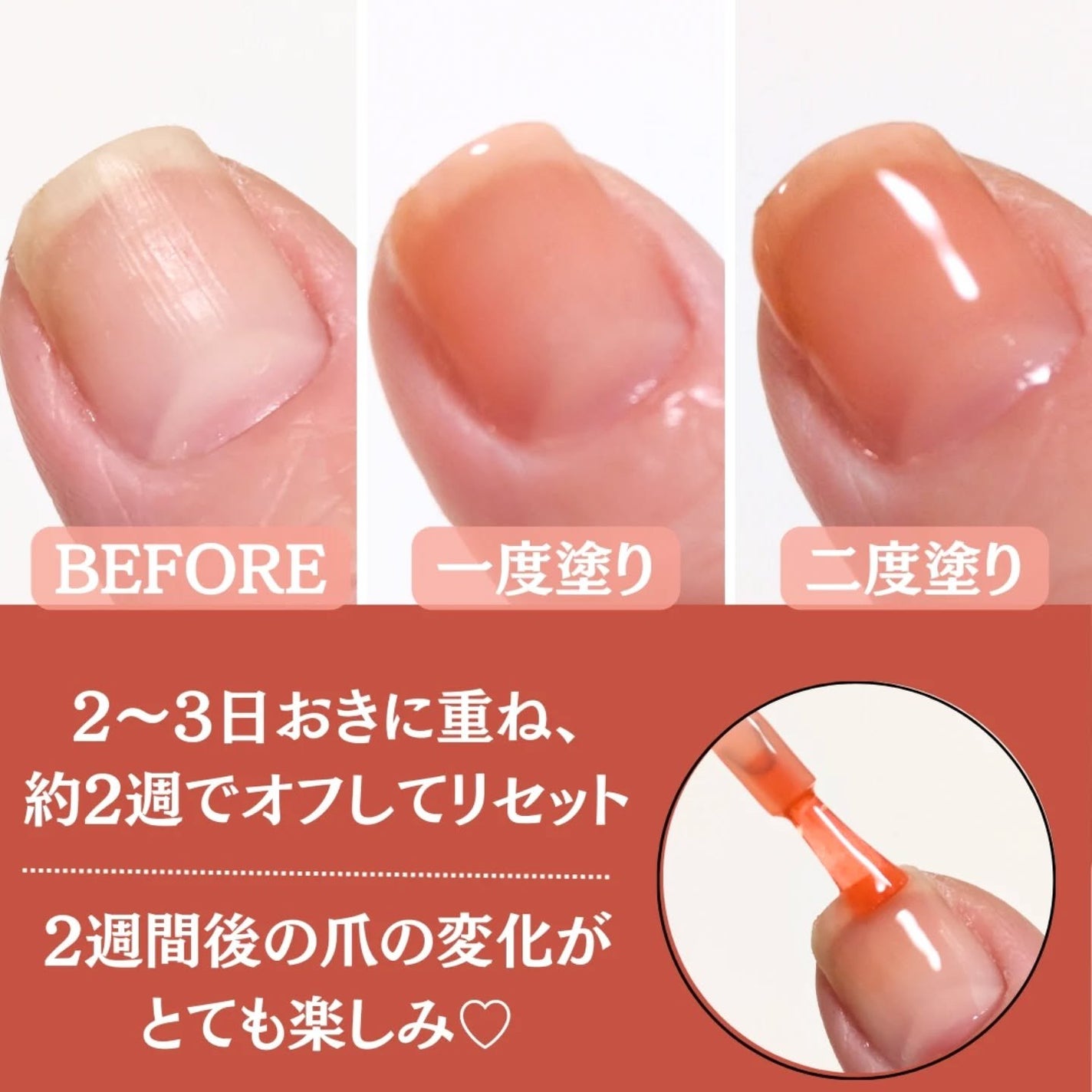 001 ヴィーガンティンテッドネイルハードナー/FOIND/ネイル用品を使ったクチコミ(4枚目)