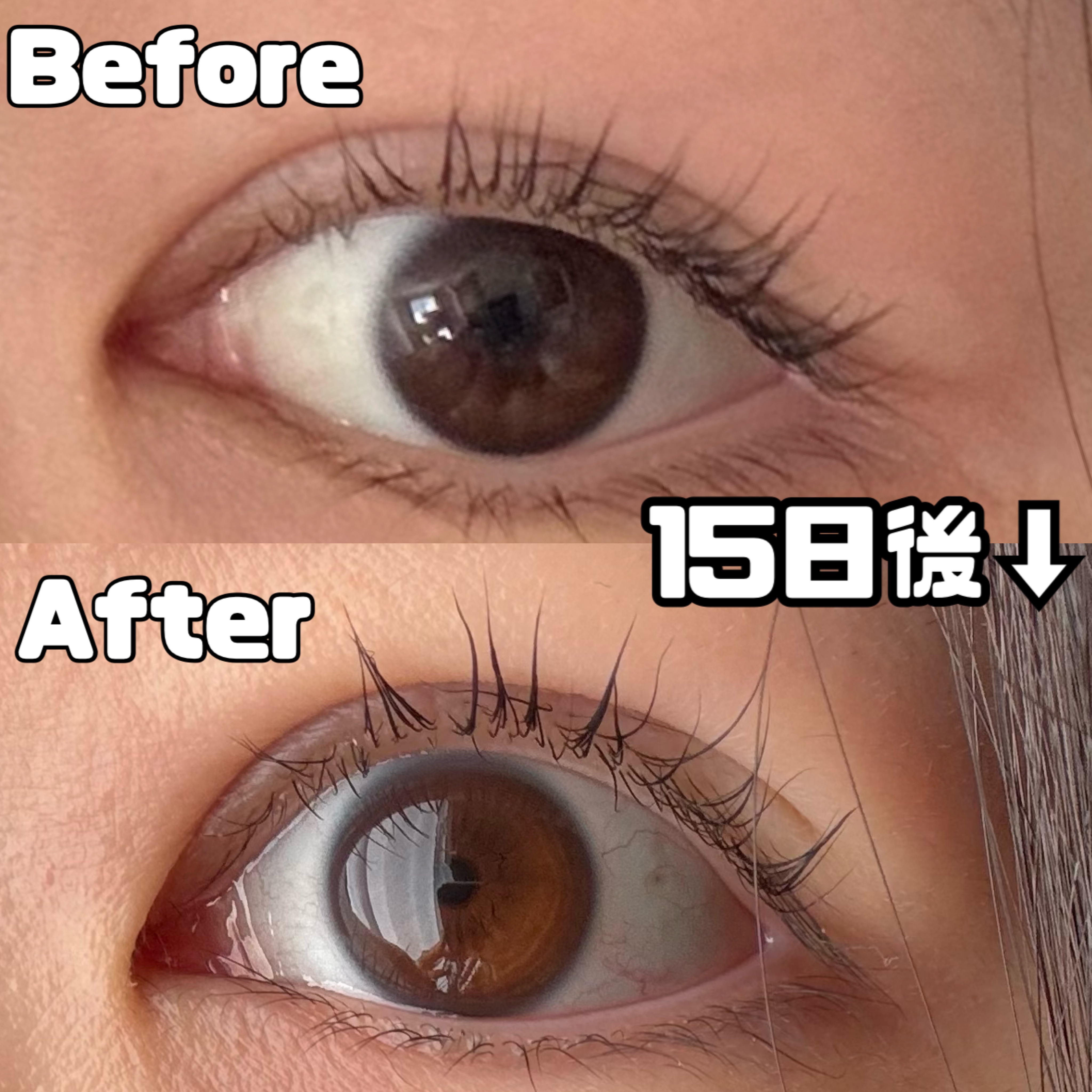 エターナルアイラッシュ/リュバンブラン/まつげ美容液を使ったクチコミ（2枚目）