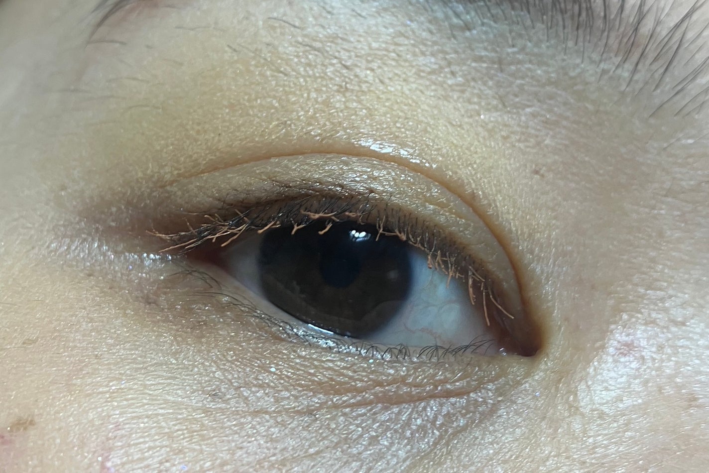 セルヴォーク ヴァティック アイズ S/Celvoke/単色アイシャドウを使ったクチコミ(3枚目)