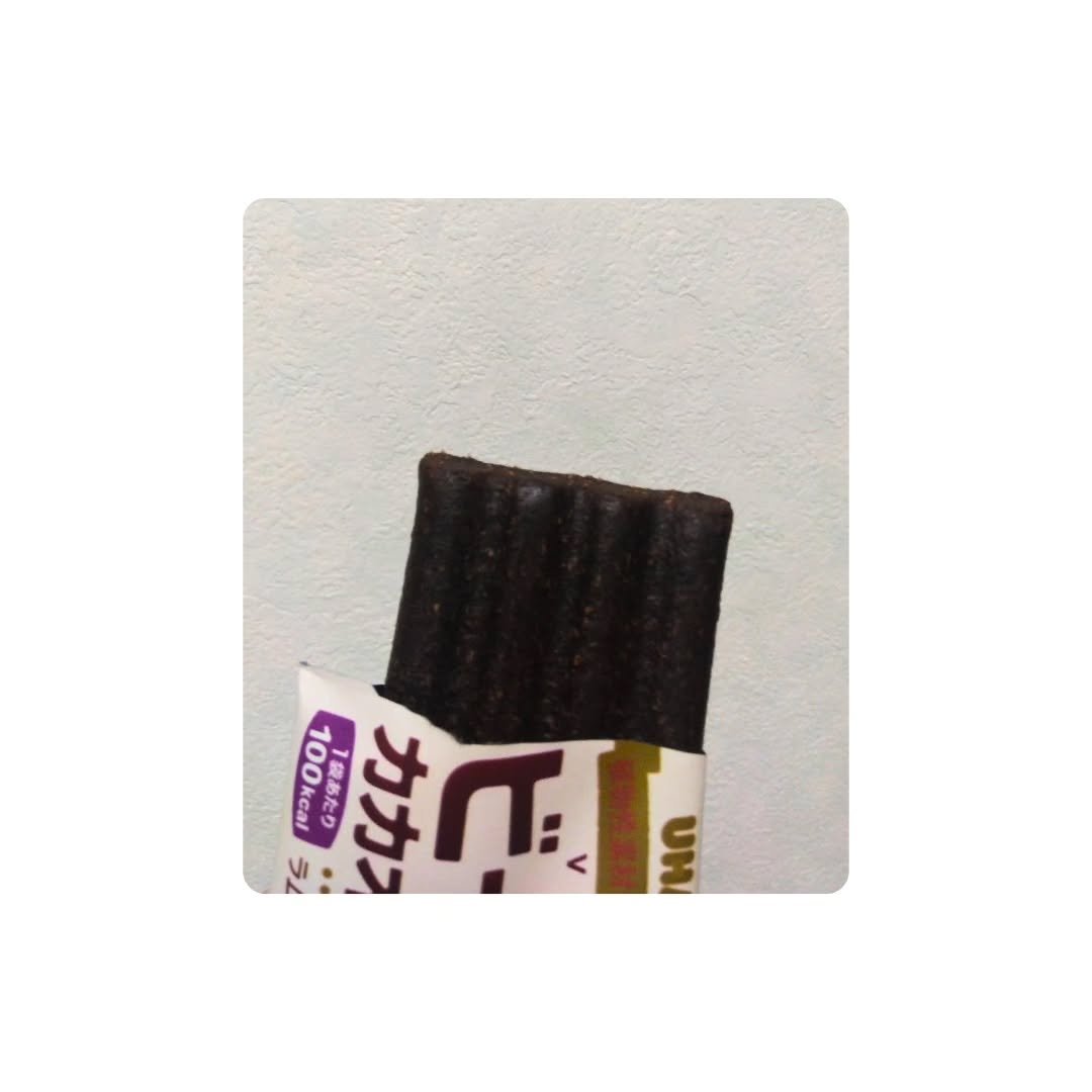 ビーガンカカオバー/UHA味覚糖/バランス栄養食を使ったクチコミ（2枚目）