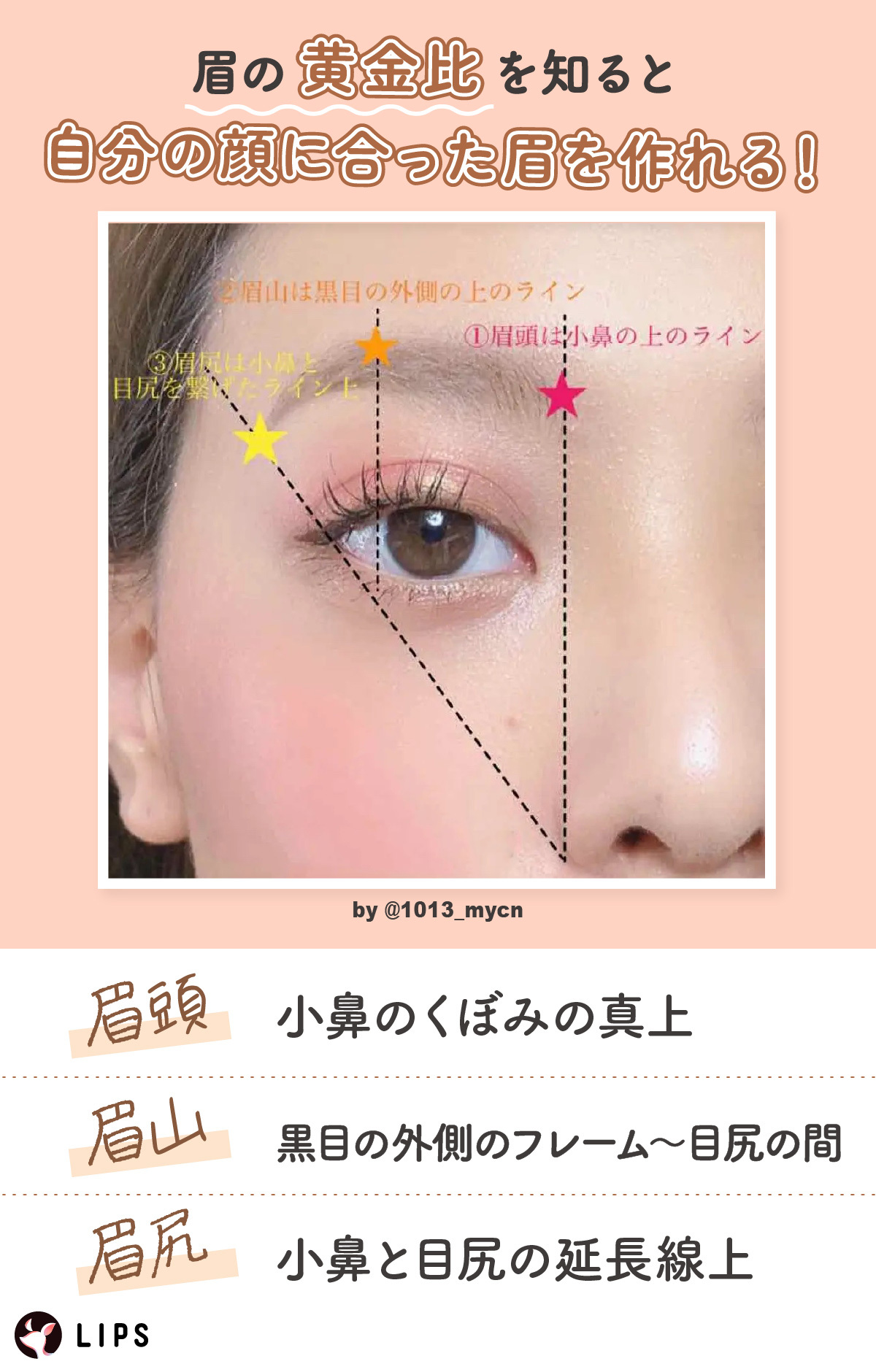 眉の黄金比を知ると自分の顔に合った眉を作れる！眉頭は小鼻のくぼみの真上。眉山は黒目の外側のフレーム～目尻の真上の間。眉尻は小鼻と目尻の延長線上。