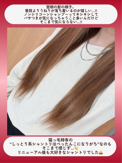 OR スパ・シャンプー グロッシーモイスチャー/トリートメント グロッシーモイスチャー/Off&Relax/市販シャンプーを使ったクチコミ(6枚目)