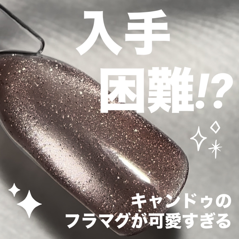 パルP フラッシュマグジェル/parkikoi/ジェルネイルを使ったクチコミ（1枚目）