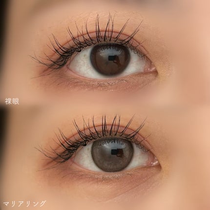 とあ on LIPS 「melady新色2色レビュー/大谷映美里さんプロデュースカラコ..」(3枚目)