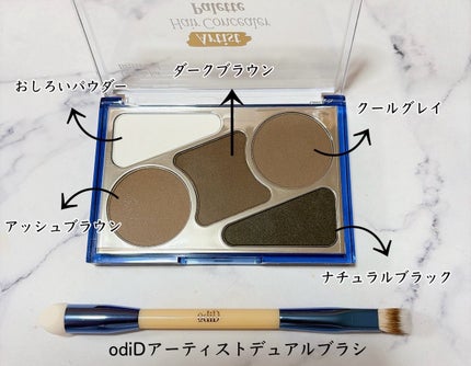 ヘアコンシーラーパレット&アーティスト デュアルブラシ/odiD/その他スタイリングを使ったクチコミ(2枚目)