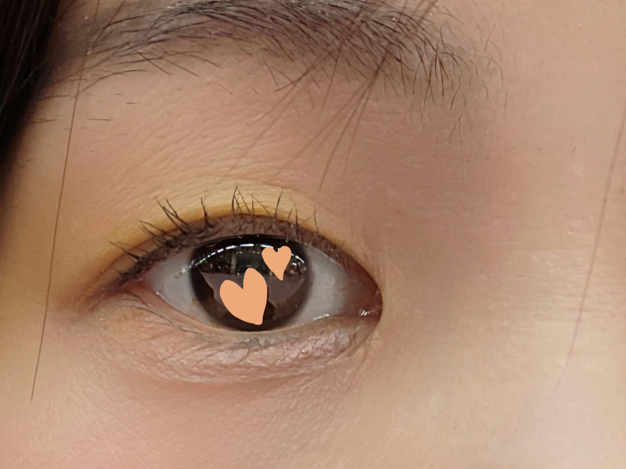 スカイハイ プライマー/MAYBELLINE NEW YORK/マスカラ下地を使ったクチコミ（2枚目）