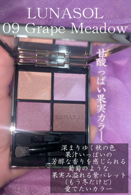 ルナソル アイカラーレーションN/LUNASOL/アイシャドウパレットを使ったクチコミ(2枚目)