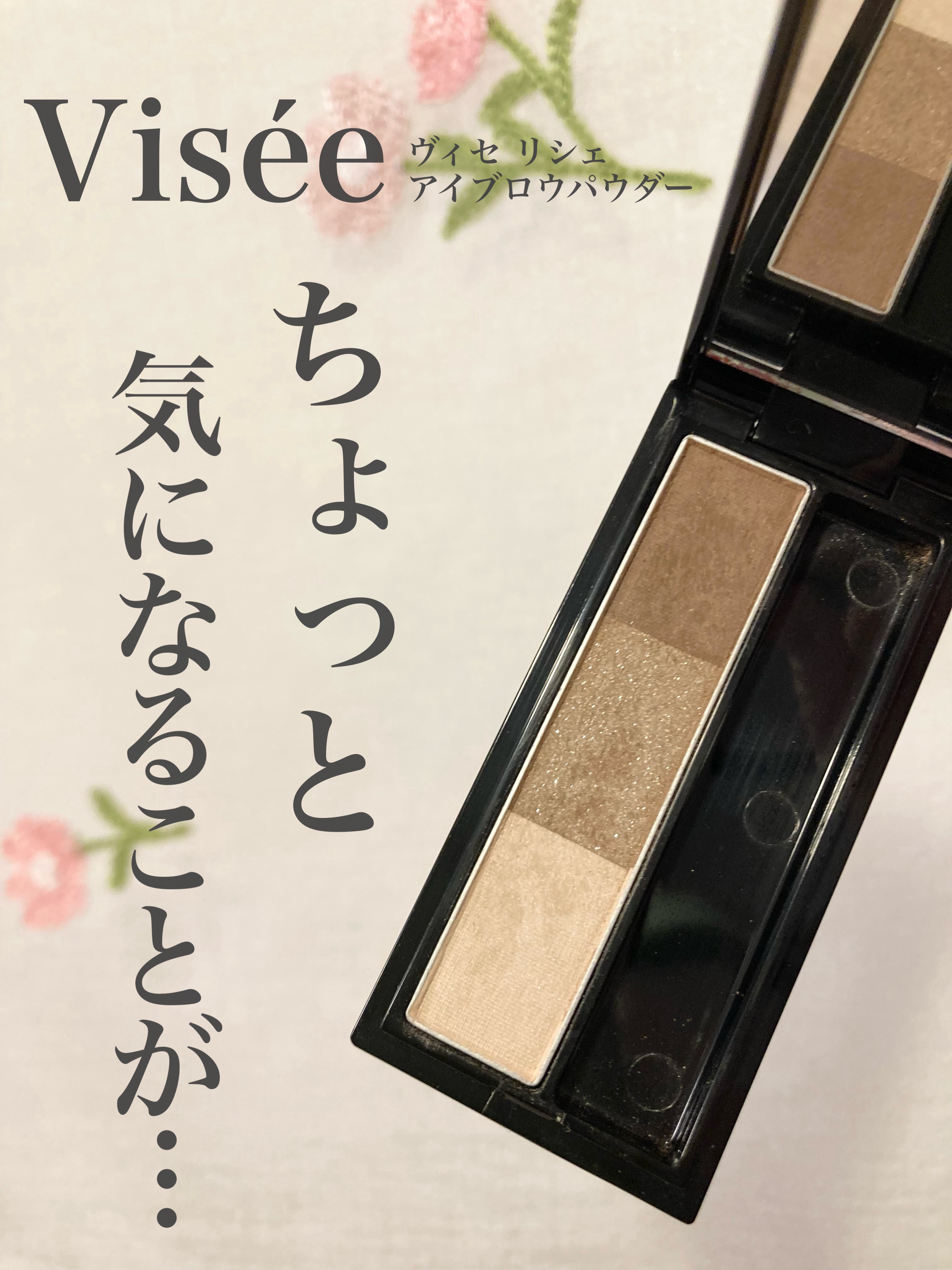 ヴィセ リシェ アイブロウパウダー/Visée/パウダーアイブロウを使ったクチコミ（1枚目）