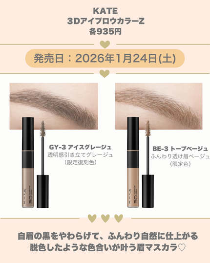 ケイト デザイニングアイブロウ3D/KATE/パウダーアイブロウを使ったクチコミ(6枚目)