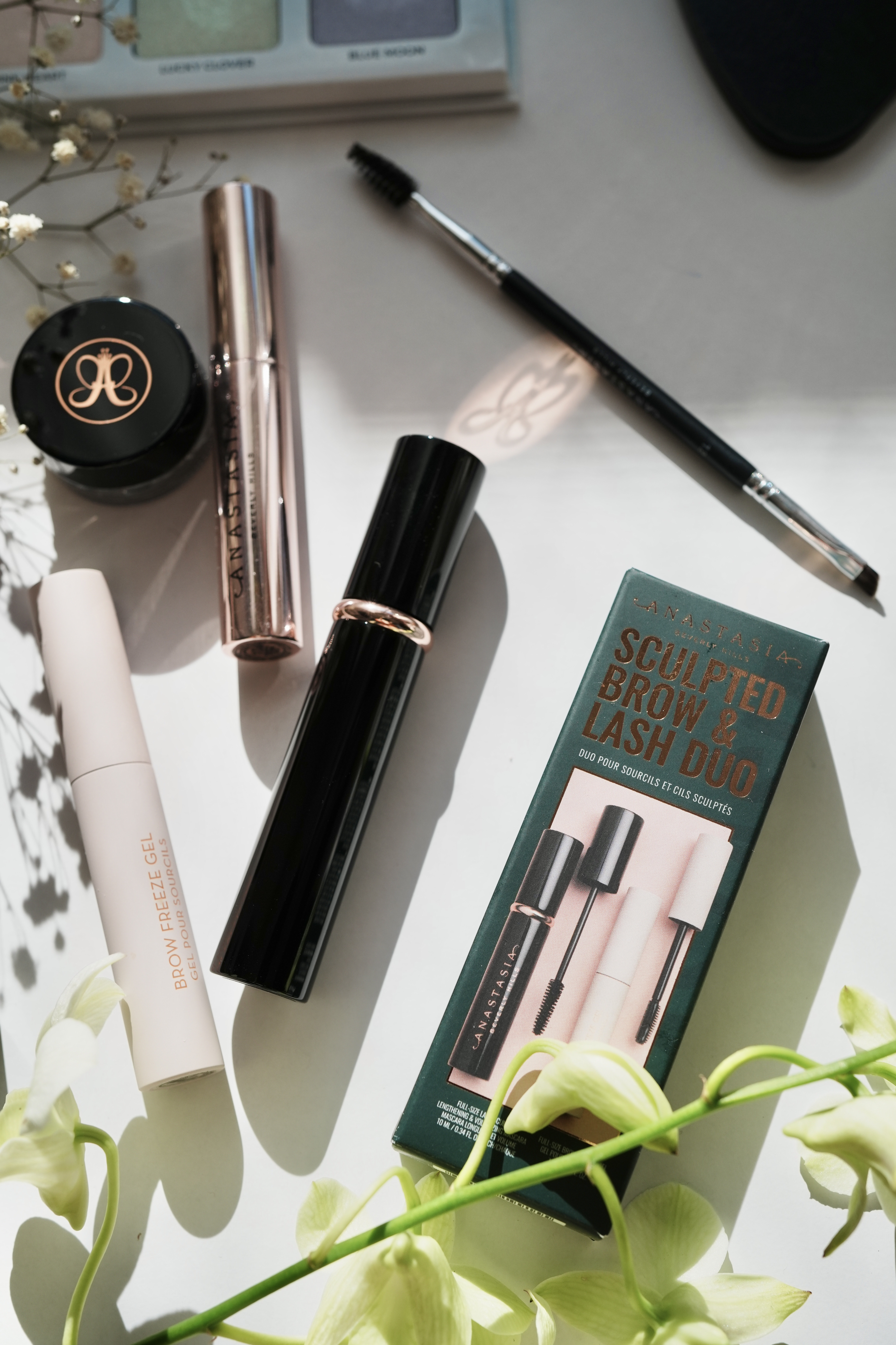 Brow Freeze Gel/アナスタシア ビバリーヒルズ/眉マスカラを使ったクチコミ（2枚目）