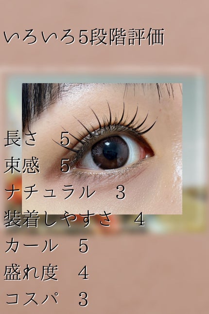 ラッシュフォーカス/D-UP/つけまつげを使ったクチコミ(2枚目)